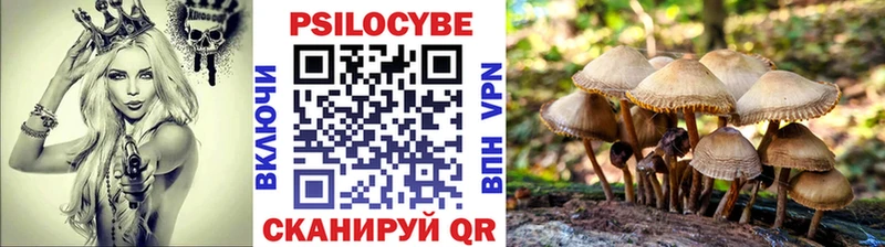 Купить  Киреевск  Псилоцибиновые грибы ЛСД 